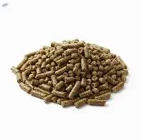 Pig Concentrate 10% Export Grade Quality