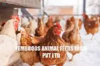 Premium Brown Egg Layer Poultry Feed