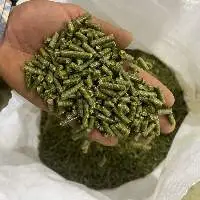 Premium Quality Export Grade Alfalfa Pellet