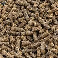 Alfalfa Pellets Export Grade Quality