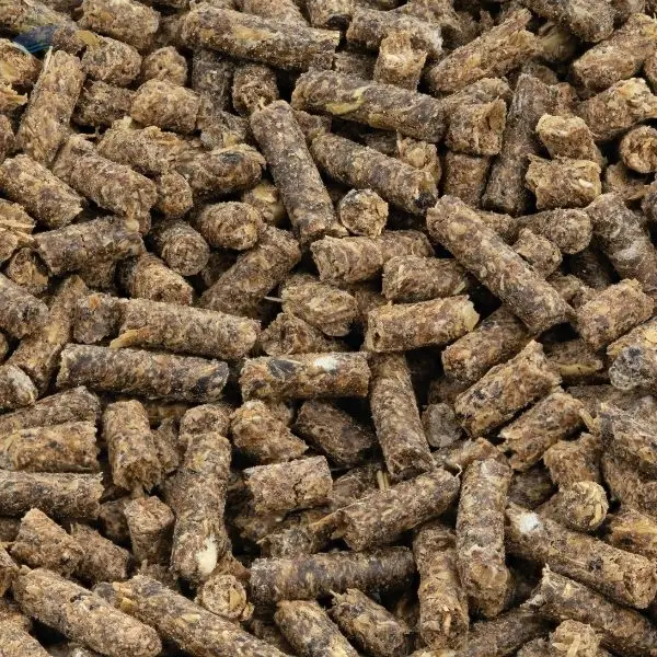 Alfalfa Pellets Export Grade Quality