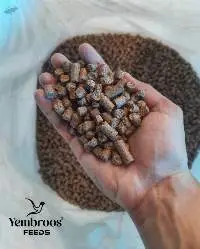High Yielder Dairy Cattle Feed