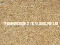 Export Grade Quality Barley Meal