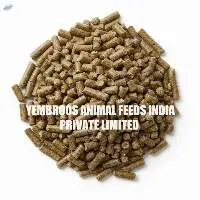 Premium Quality Beef Calf Grower Feed
