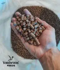 Low Yielding Cattle Feed Premium Grade