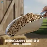 Camel Maintenance Feed Export Grade Quality