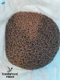 Premium Grade Dairy Beef Grower Feed