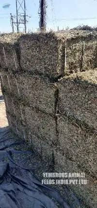 Premium Peanut Hay Export Grade Quality