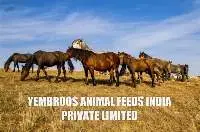 Stallion Maintenance Feed