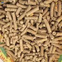 Economy Racing Horse Feed Export Quality