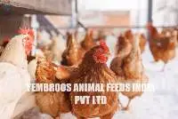 Layer poultry Feed