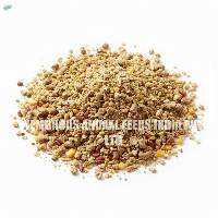 Layer Chicken Grower Feed