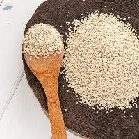 Export Grade Quality Barley Meal