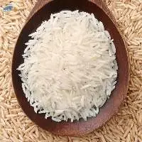 Rice Meal