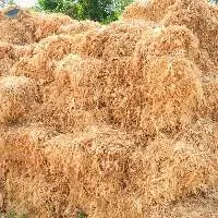 Yellow Corn Hay