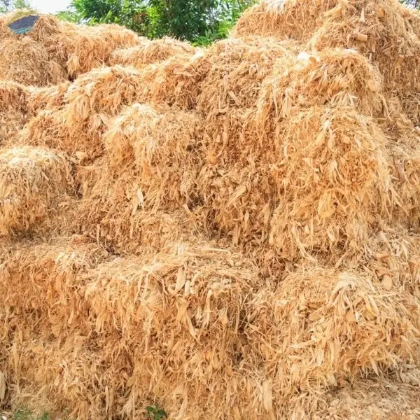 Yellow Corn Hay