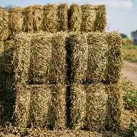 Peanut Hay Bale