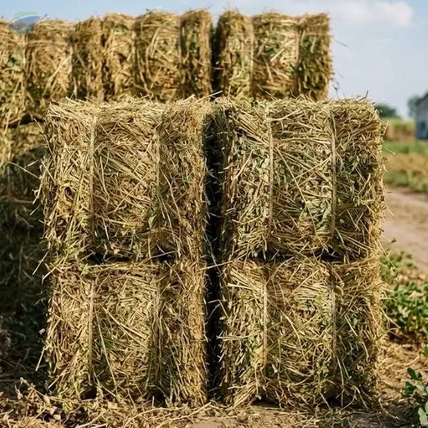 Peanut Hay Bale