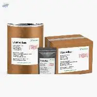 L Lysine Base