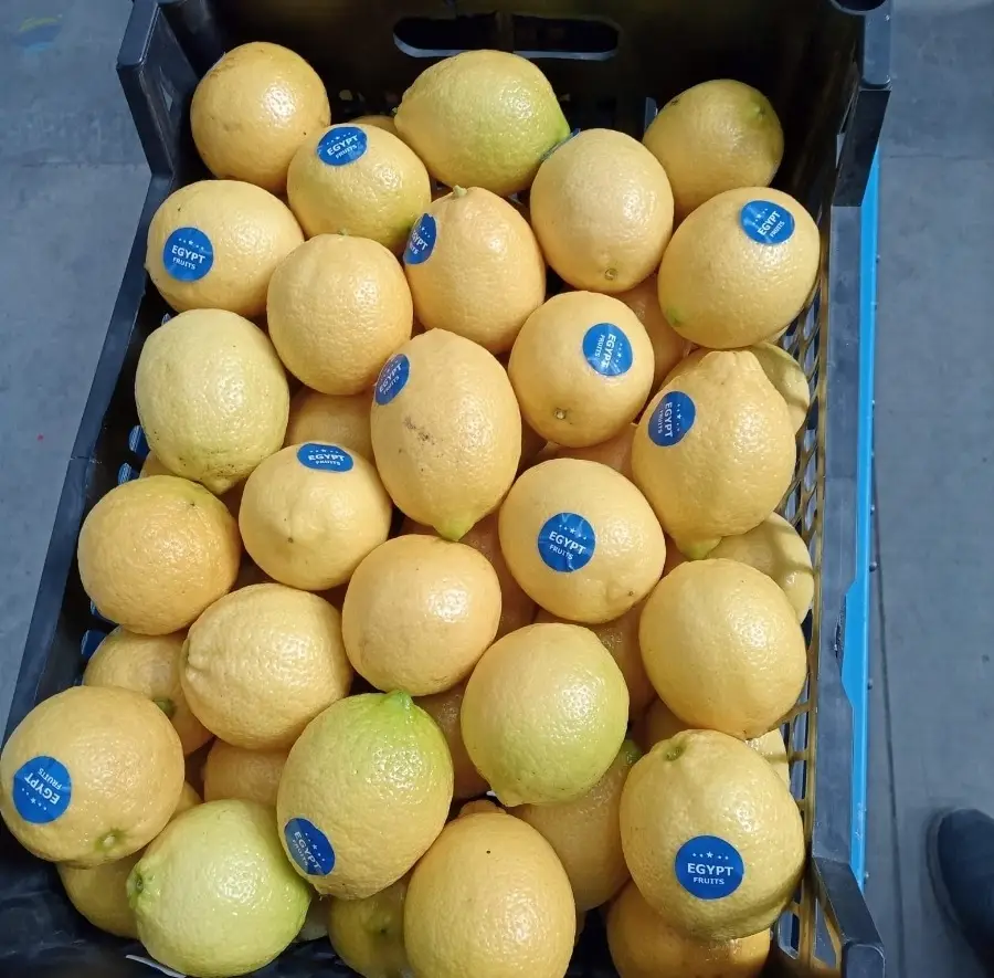 Lemon