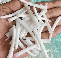Smooth Dentalium Shells (1.50 to 1.75 inch)