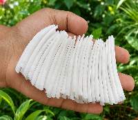 Smooth Dentalium Shells (2 to 2.2 inches)