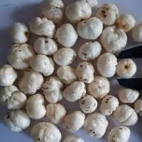 Foxnut