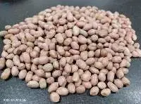 Peanut