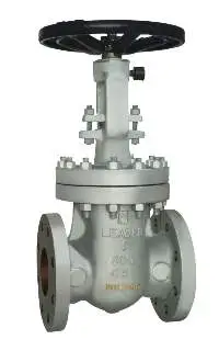 Cast Steel Gate Valve