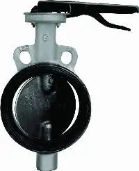 Cast Steel Butterfly Valve