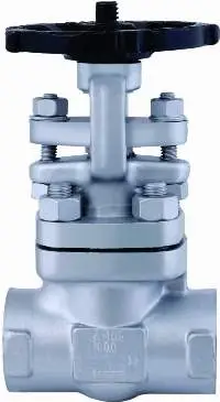 Forged Steel Gate Valve