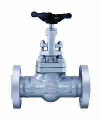 Forged Steel Gate Valve