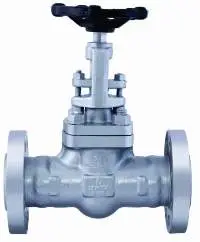 Forged Steel Globe Valve