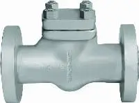Forged Steel Check Valve