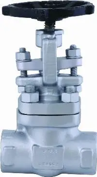 Forged Steel Needle Valve