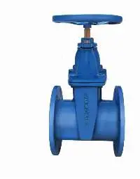 Ductile Iron Resilient Seated Gate Valve