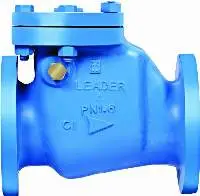 Cast Iron Reflux Valve