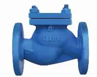 Cast Iron Horizontal Lift Check Valve