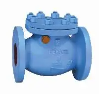 Cast Iron Swing Check Valve