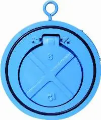 Cast Iron Wafer Type Check Valve