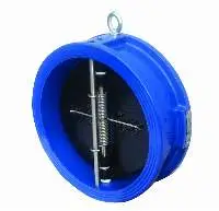 Cast Iron Dual Plate Check Valve