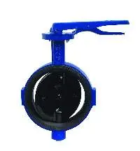 Cast Iron Butterfly Valve