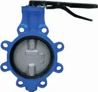 Cast Iron Butterfly Valve
