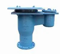 Cast Iron Kinetic Air Release Valve