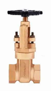 Gun Metal Gate Valve