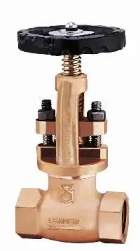 Gun Metal Globe Valve