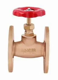 Gun Metal Globe Valve