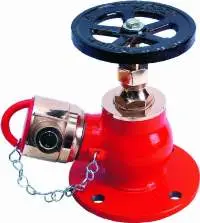 Gun Metal Fire Hydrant Valve