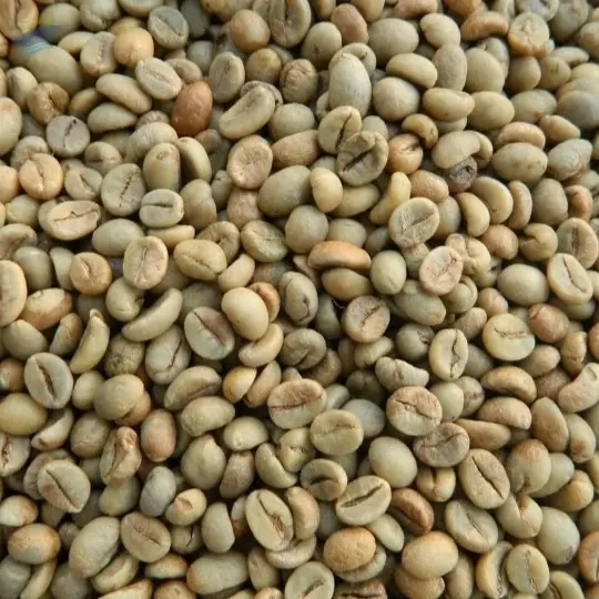 Green Coffee Beans