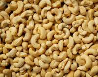 Premium Cashew Kernels - Export Quality Nuts